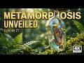 Metamorphosis Unveiled | Episode 27 | AI Wildlife Documentary | Algorithm's Eyes