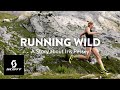 Running wild  a story about iris pessey