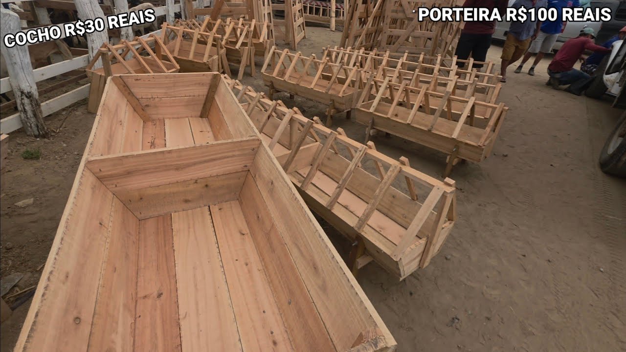 FEIRA DO GADO DE SANTA CRUZ DO CAPIBARIBE-PE 13/10/2025