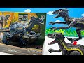 New Dinosaur Indoraptor With Jurassic World | Dinosaur Battle Fun Video