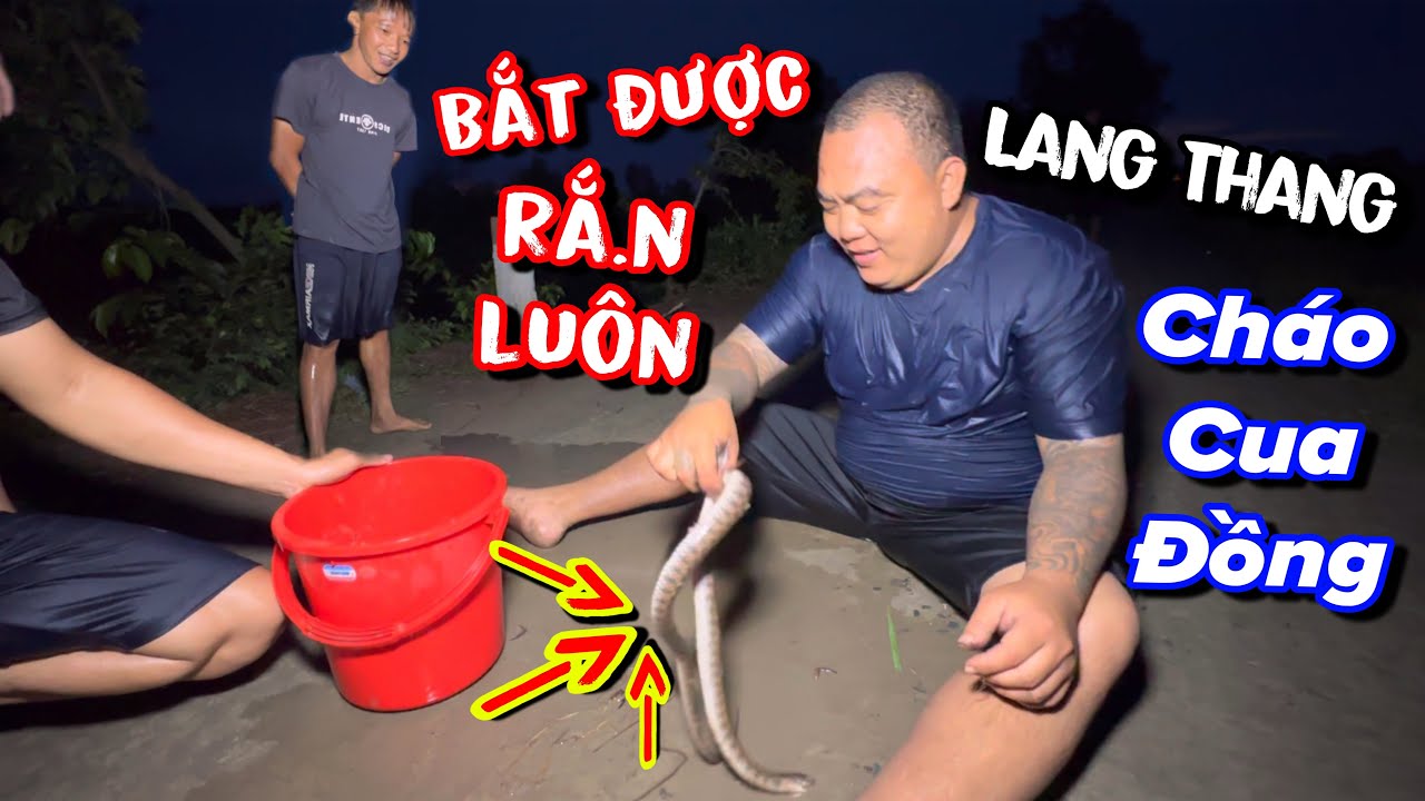 Một ngày cùng Thánh Xàm đi mò cua về làm nồi cháo cua đồng đãi team giữa trời mưa