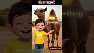 Camel Adaptation 🐪 | ઊંટ રણમાં કેવી રીતે જીવશે? You Won’t Believe This!"