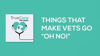 Things That Make Vets Go Oh No! - TrueCare for Pets Pawcast