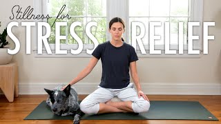 Stillness For Stress Relief  |  15-Minute Meditation  |  Yoga With Adriene screenshot 5