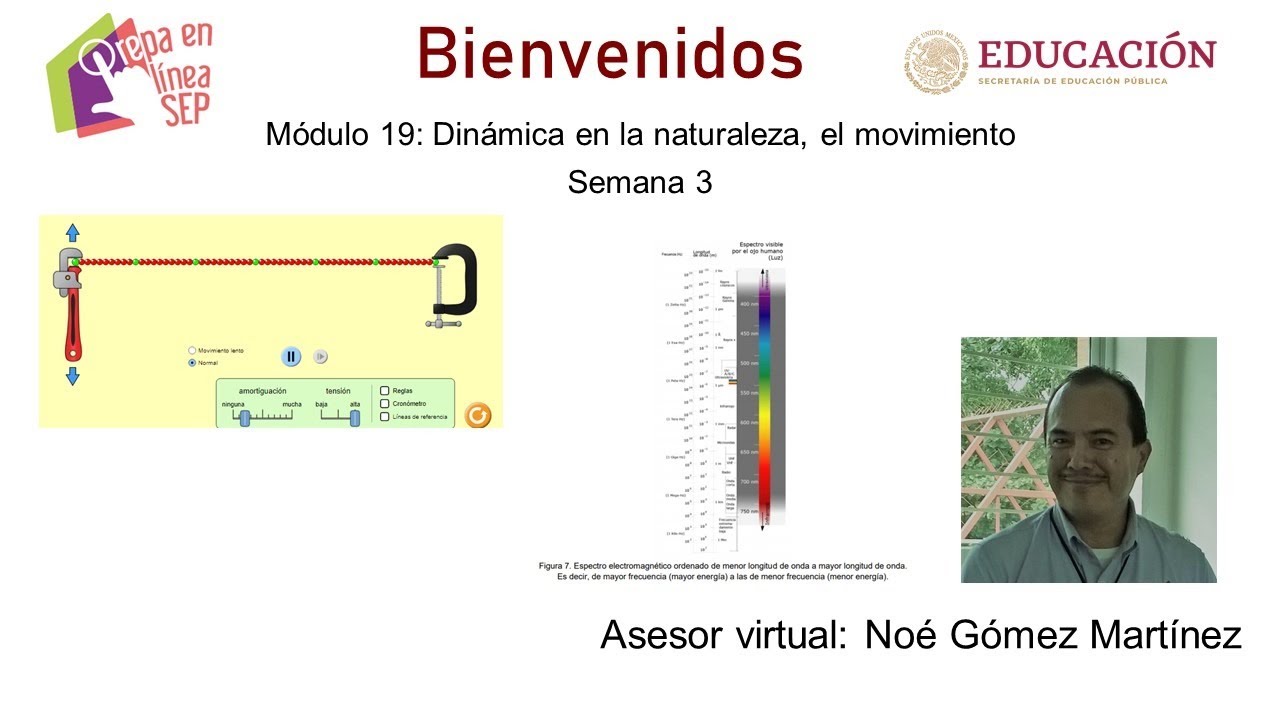 Modulo 19 Semana 3 Prepa en linea SEP - YouTube