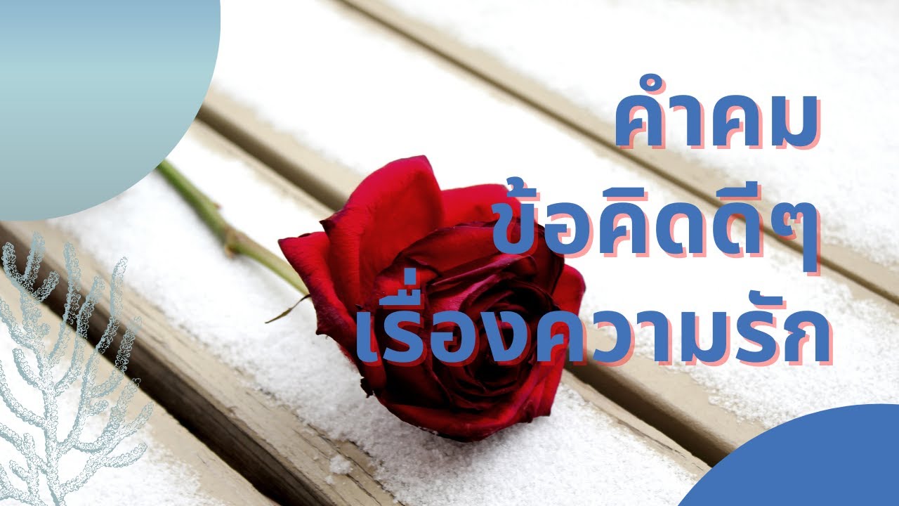 คํา คม ดีๆ เกี่ยว กับ ความ รัก  New Update  คำคม-ข้อคิดดีๆ เรื่องความรัก Ep.21 | อย่าทิ้งทุกอย่างในชีวิต เพียงคิดแค่จะมีแฟน