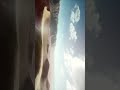 تجميعة 7ونص تشغل العاب ايه ؟ #foryou #pc #gaming #ارخص_تجميعة
