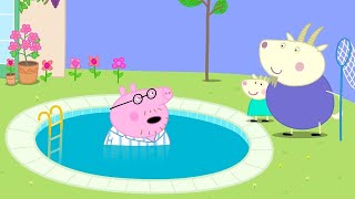 Daddy Pig Falls Into The Swimming Pool Adventures With Peppa Pig