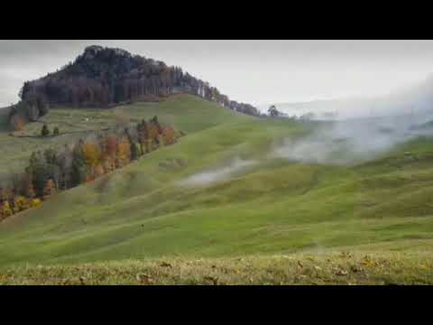 اني اذكرك .. كلمات والقاء ليلى قموح