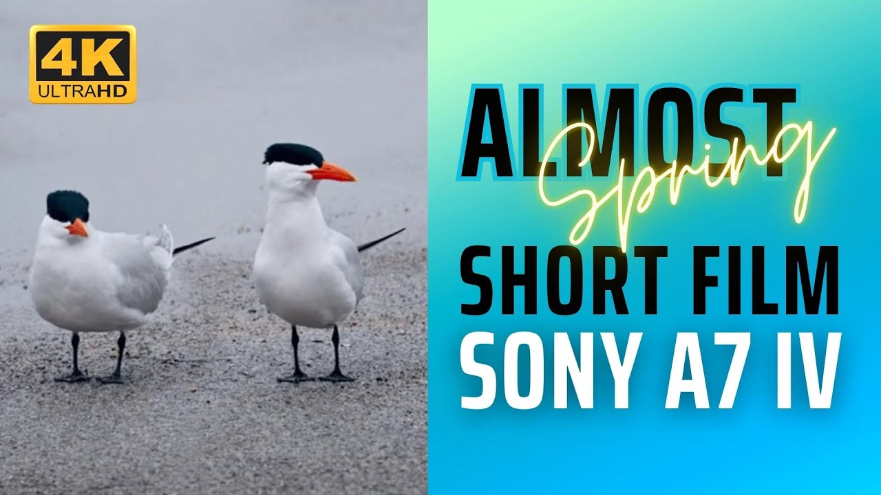Spring Is In The Air [Sony A7 IV] - YouTube