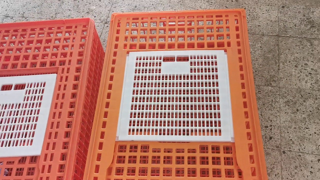 مقارنة بين القفص الإيطالي والمصري من حيث الجوده و الوزن و السعر  للاستعلام الأرقام في الوصف