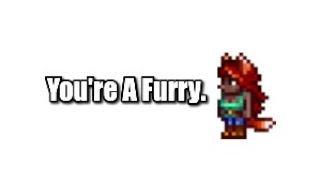 What Your Favorite TERRARIA NPC Says About You!