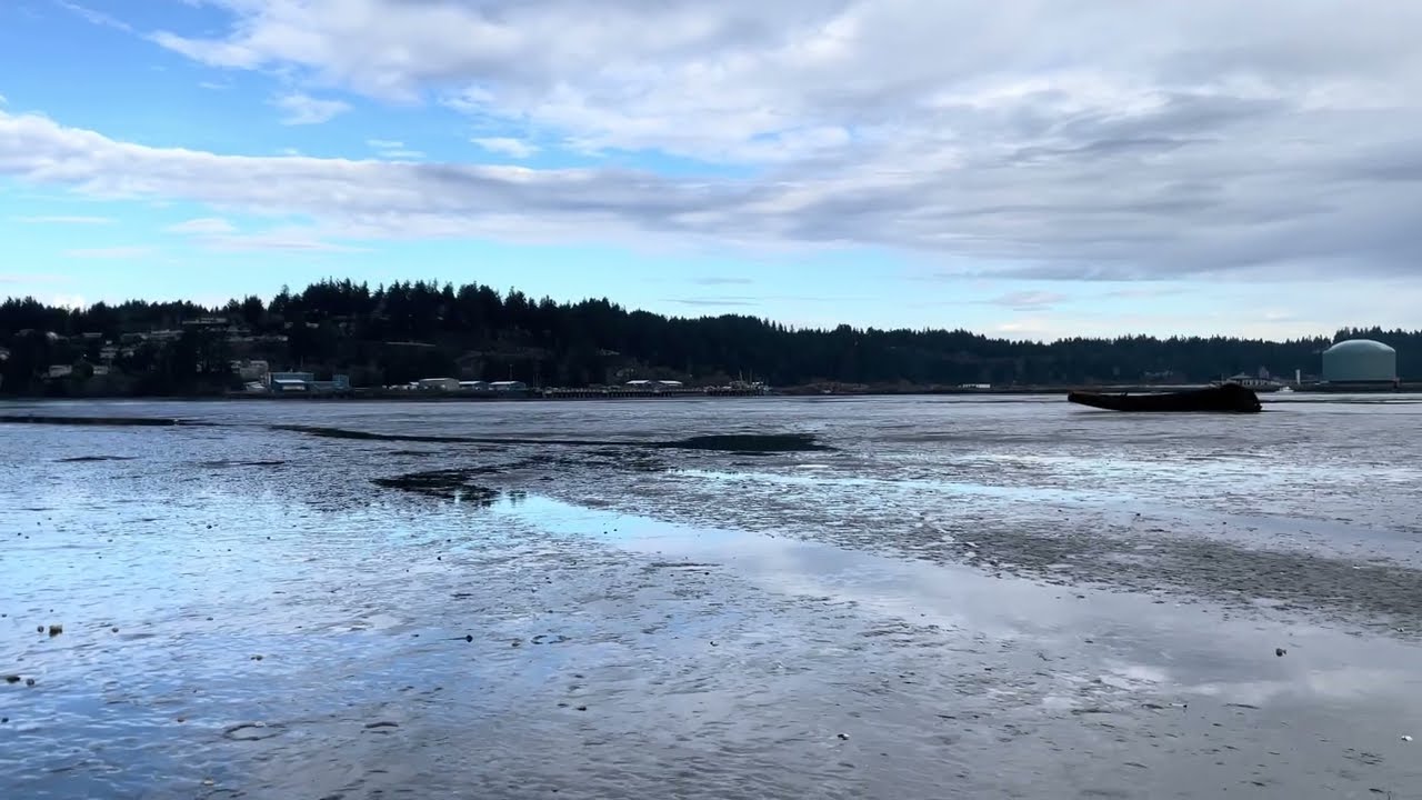 Peaceful Afternoon at the Estuary