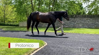 More to Come for Protonico, Sire of Kentucky Derby Winner Medina Spirit