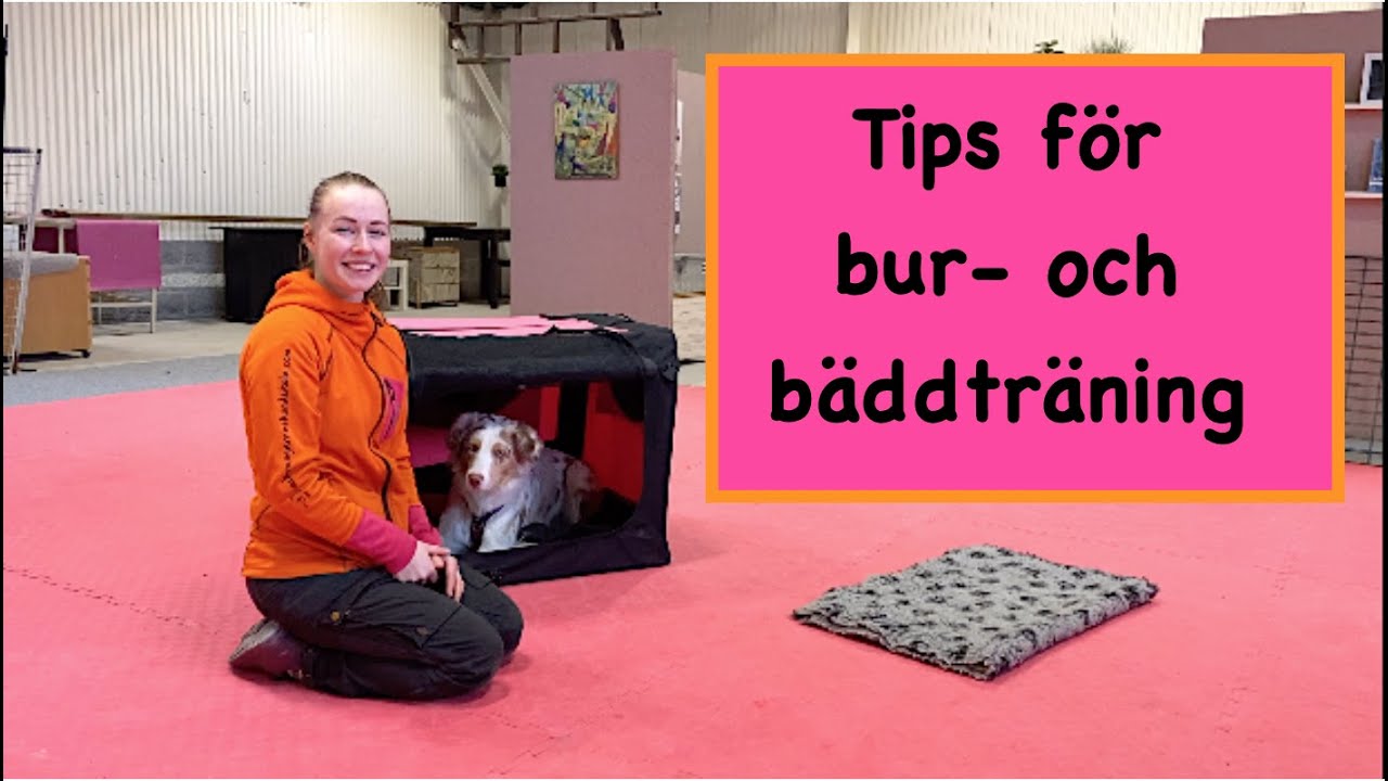 Tips för bur- och bäddträning