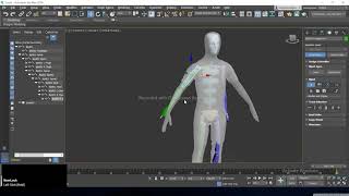Biped Rigging in 3ds max