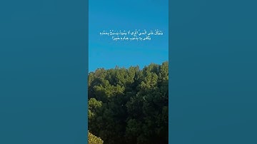 #سورة_الفرقان #اسلام_صبحي #اكسبلور #اكتب_شي_تؤجر_عليه #قرآن #quran #راحه_وطمأنينه_للقلب