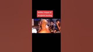 ketika mayat d langkahin kucing jadi serem
