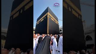 Rayuan Haji 1447H Telah Dibuka! Rayuan Haji 1447H Telah Dibuka!