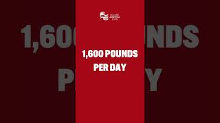 Operation Pacific Viper By the Numbers | Secure America Now
