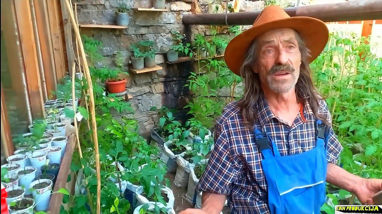 Robinzon sa Vlašića u svom stakleniku uzgaja razne vrste povrća , sve zdravo i prirodno#edin