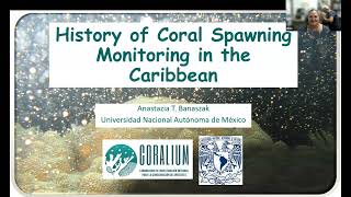 Caribbean Coral Spawning Database Webinar: April 28, 2025