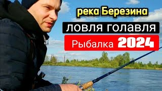 Рыбалка в Мае 2024 на реке Березина