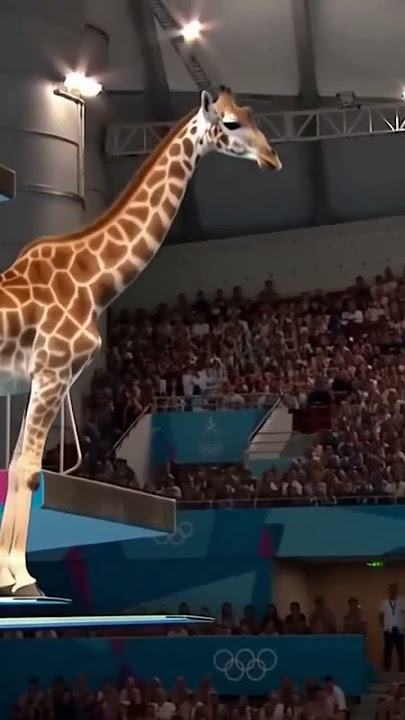Giraffe jumps into Olympic pool