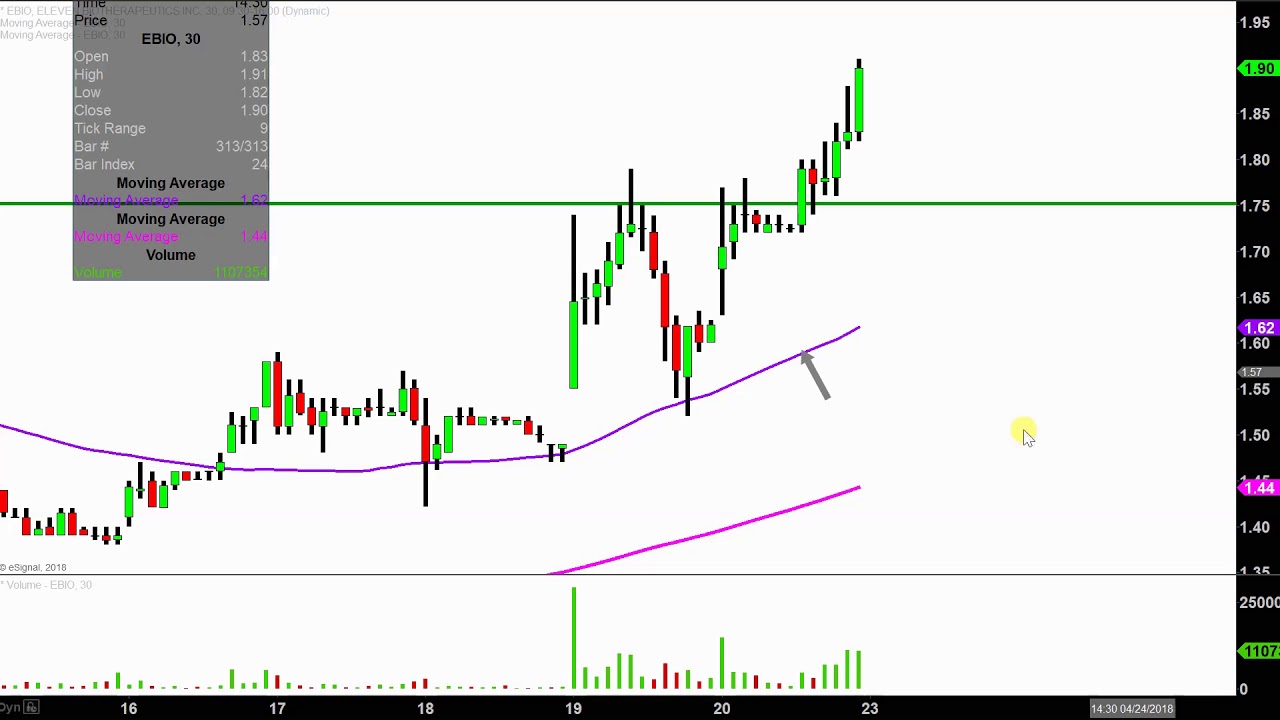 Ebio Chart