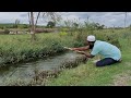 Big Cat Fishing|Catching The Cat Fishes And 3Types of Fishes|Village Fishing Video