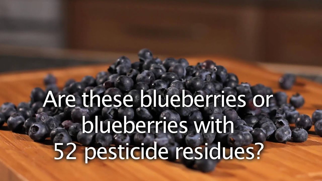 Blueberry pesticide teaser YouTube