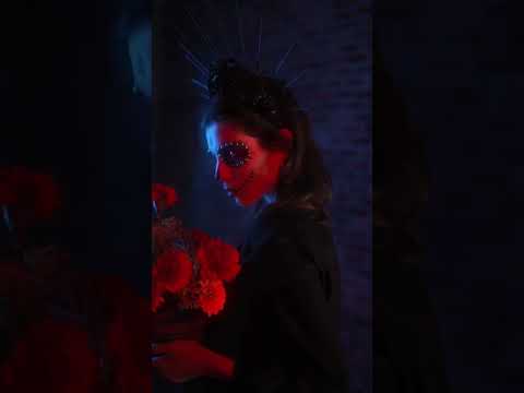 SCHNMUSICS TERI SKIN 