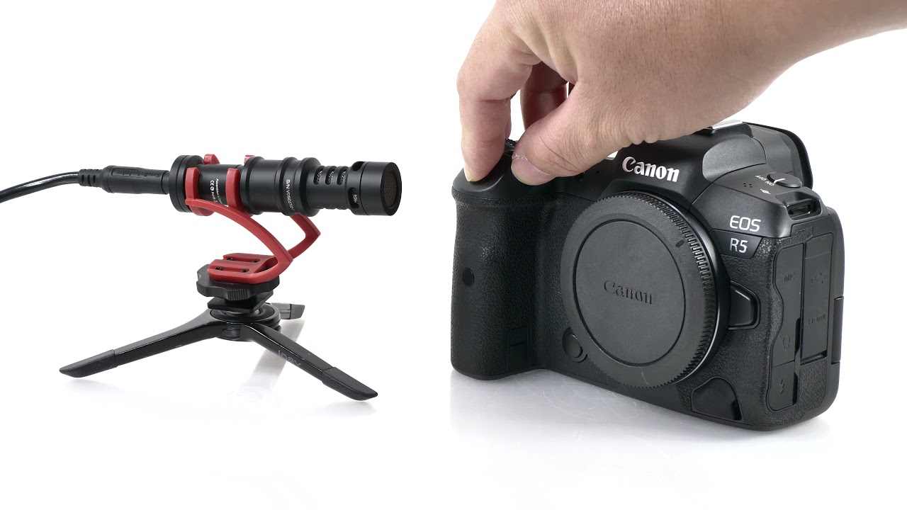 Checking the EOS R5's electronic first curtain shutter sound (without lens)