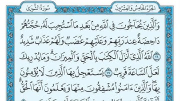 سعد الغامدی سورة الشورى   تەفسیری كوردی سورەتی الشورى بەدەنگی هەندرێن   Tafseri Surat Al  Shura