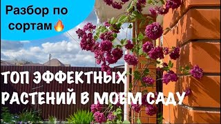 :       |    |   # 