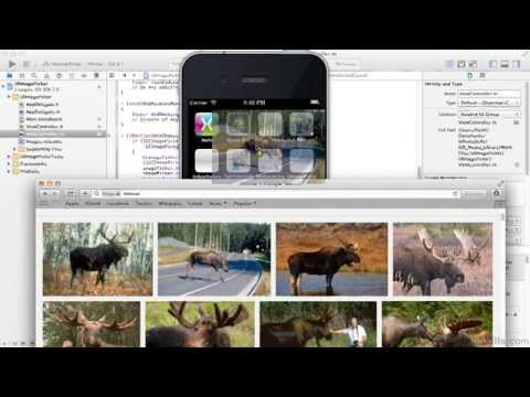 iOS Development - Media Library Tutorial | UI Image Picker Controller