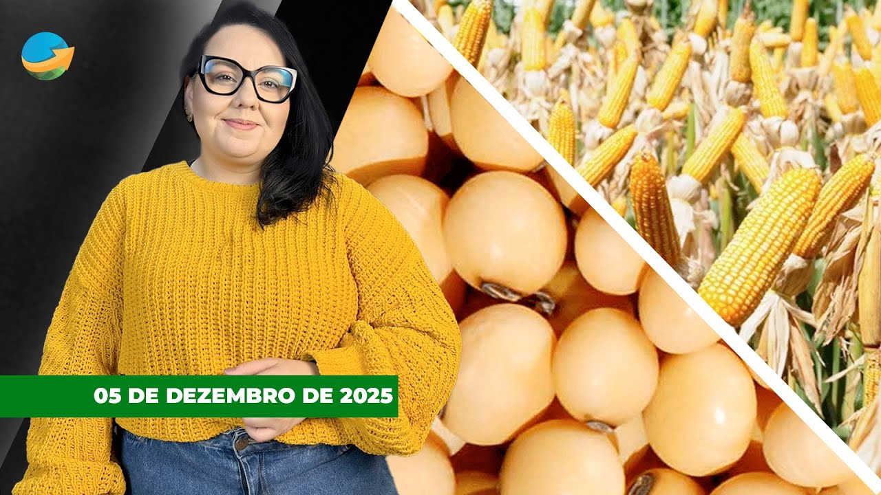 Disparada do dólar nesta 6ª feira pesa sobre soja, milho café e açúcar nas bolsas internacionais...