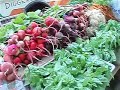 Burlington Farmers' Market