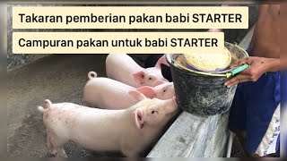 Takaran pemberian dan campuran pakan kering untuk babi STARTER