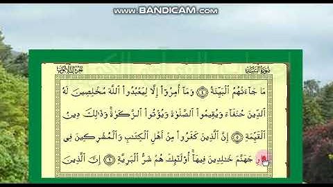 إعراب  سورة البينة