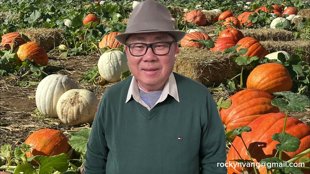 Npis Vaj: Ntsuag Niam Ntsuag Txiv Vim Yog Koos Paj Cai Thiab Faiv Ntaj Lauj: 1976-1979: 2/26/2026