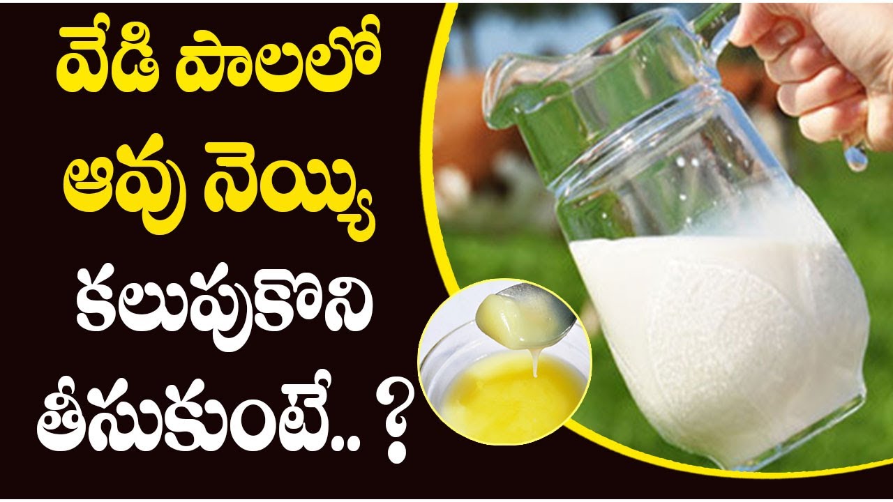 Amazing Health Benefits with Cow Milk and Ghee Mana Arogyam Telugu