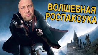 ВОЛШЕБНАЯ РОСПАКОУКА | ЗУБАРЕВ В КИТАЕ