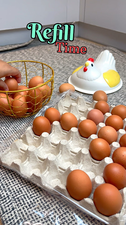 My favourite work #refilltime #eggday #egg