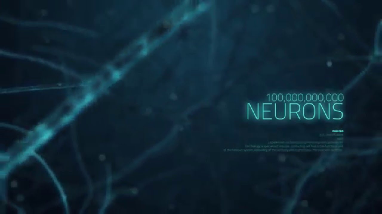 Applying Clinical Neuroscience to Improve Human Performance - YouTube
