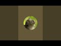 Rick Wood's Nature Aware is live!