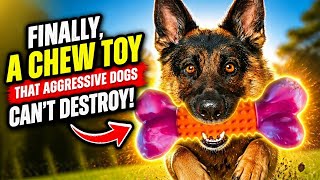 Finally, a Chew Toy That Aggressive Dogs Can't Destroy!