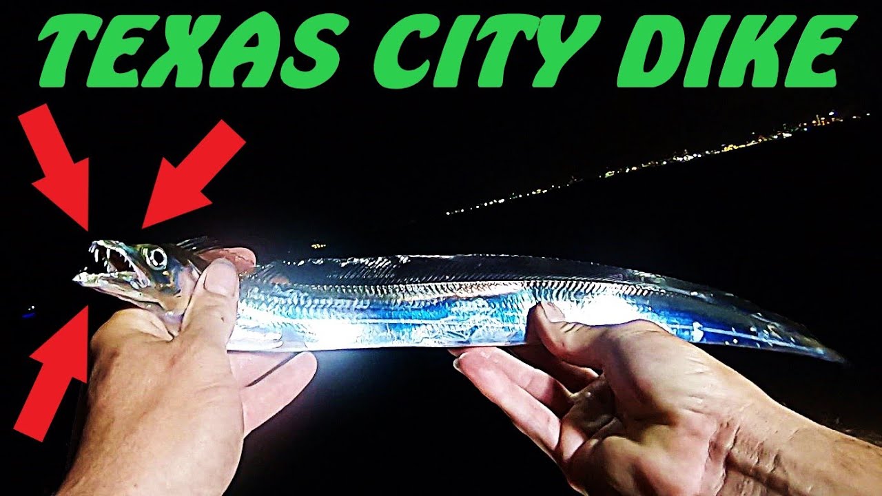 FISHING GALVESTON TX TEXAS CITY DIKE NIGHT FISHING BEST PLACE TO fishing-galveston-tx-texas-city-dike-night-fishing-best-place-to