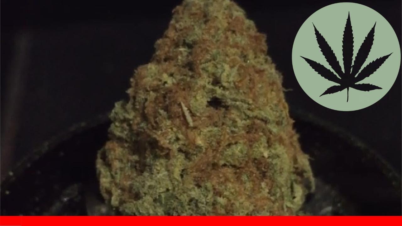 Iced Widow - All About This Strain