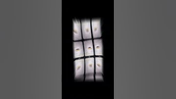 Huawei Nova 4 VCE-AL00 convert to Global VCE-L22 #HUAWEI #NOVA4 #REBRAND #CONVERT #CHINESE #GLOBAL